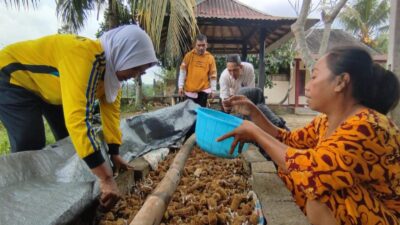 Tak Lagi Terbengkalai, Lahan PEKKA Kini Hasilkan Sayur dan Uang