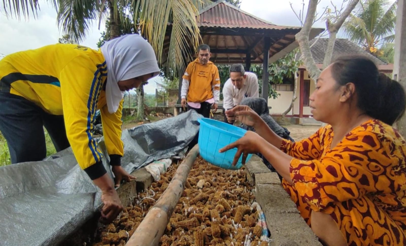 Tak Lagi Terbengkalai, Lahan PEKKA Kini Hasilkan Sayur dan Uang