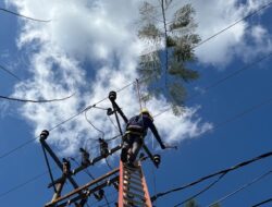 PLN Perbarui Jaringan Listrik di Praya, Tekan Potensi Gangguan