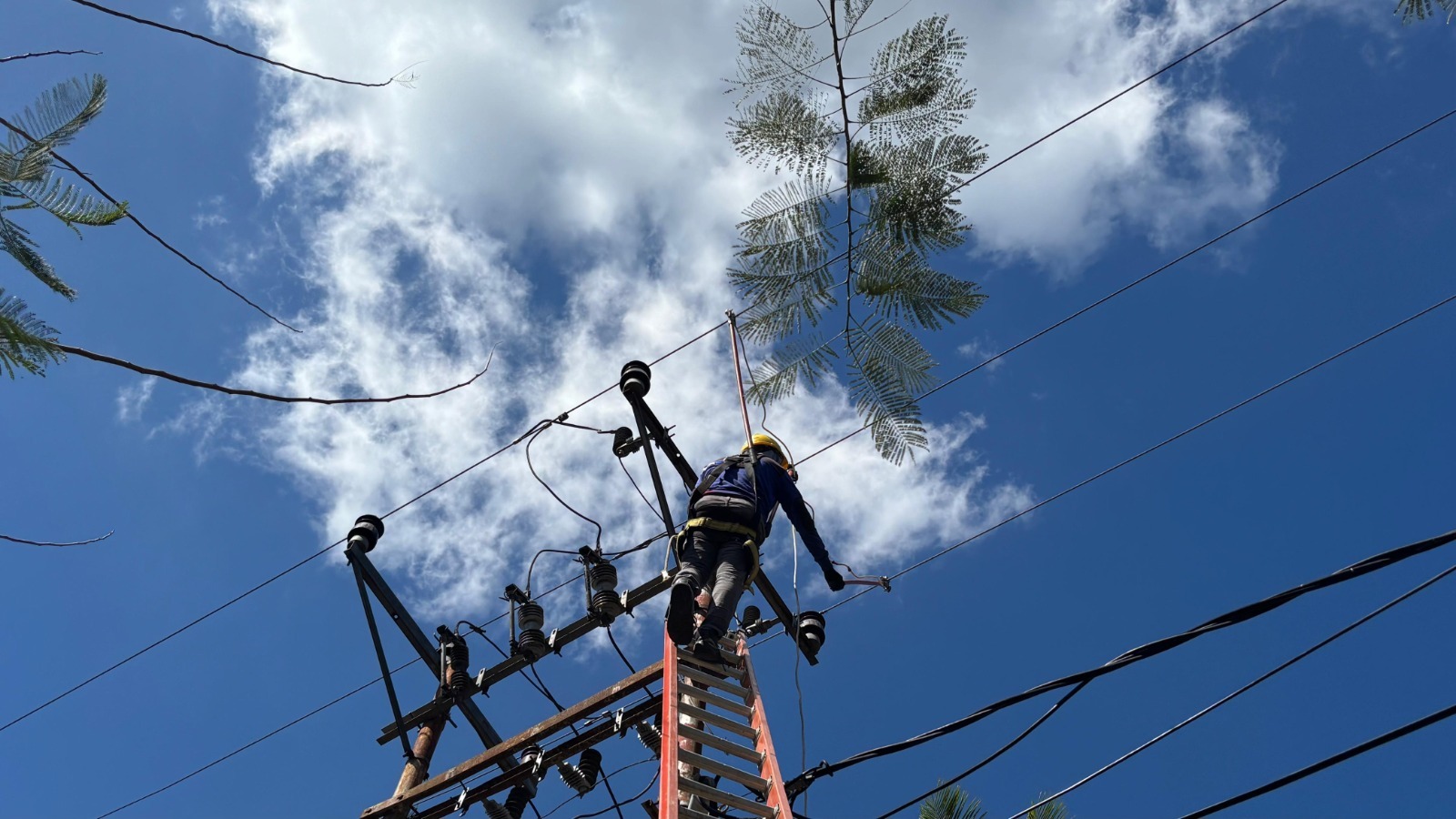 PLN Perbarui Jaringan Listrik di Praya, Tekan Potensi Gangguan