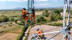PLN Perkuat Listrik Sumbawa, Isolator Tower Transmisi Diganti