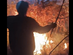 Kebakaran 30 Hektare Mengancam Kawasan Rinjani