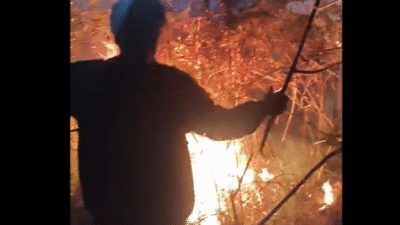 Kebakaran 30 Hektare Mengancam Kawasan Rinjani