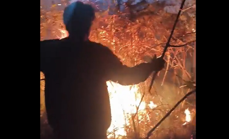 Kebakaran 30 Hektare Mengancam Kawasan Rinjani
