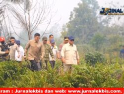 Karhutla Kalimantan: 4 Korporasi Diselidiki, Presiden Kerahkan 1.200 Prajurit