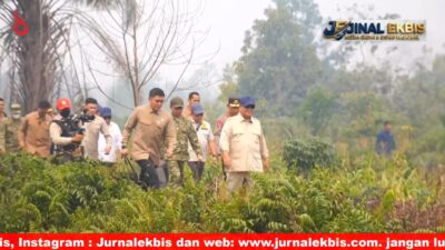 Karhutla Kalimantan: 4 Korporasi Diselidiki, Presiden Kerahkan 1.200 Prajurit