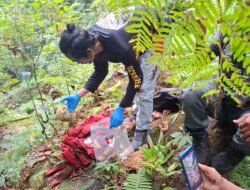 Misteri 14 Tulang di Hutan Argapura, Polisi Temukan APD dan Dompet