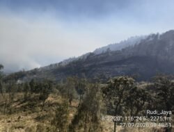 Kebakaran Rinjani Meluas, 1.098 Hektare Terdampak