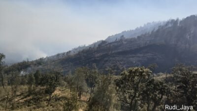 Kebakaran Rinjani Meluas, 1.098 Hektare Terdampak