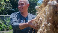 Bawang Putih Sembalun Dibidik Jadi Mesin Swasembada