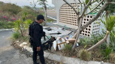 6 Anjing K-9 Sisir 3 Zona MotoGP Mandalika, Hasilnya Nihil