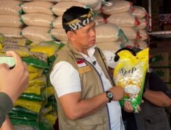 Bulog: Indonesia Tak Impor Beras, Stok Capai 4,5 Juta Ton