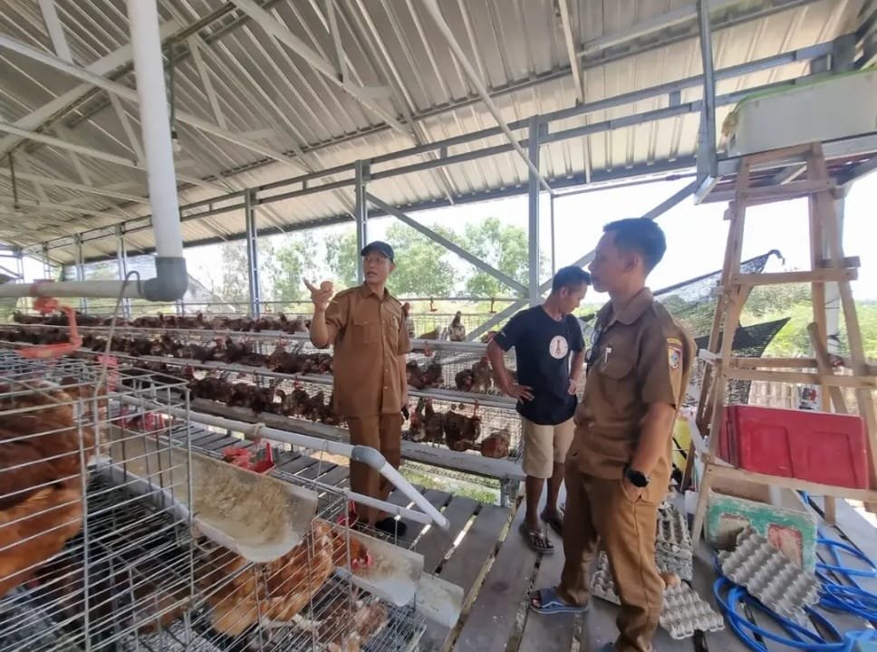 Produksi Telur Desa Berdaya NTB: Ada yang 74%, Ada 10%