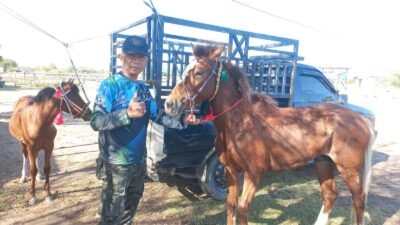 Pacuan Kuda Dompu Jadi Mesin Ekonomi Warga