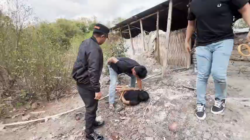 Kejar-kejaran Dramatis! Pengedar Sabu di Lombok Timur Kabur ke Semak-semak