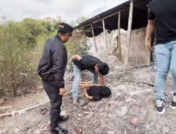 Kejar-kejaran Dramatis! Pengedar Sabu di Lombok Timur Kabur ke Semak-semak
